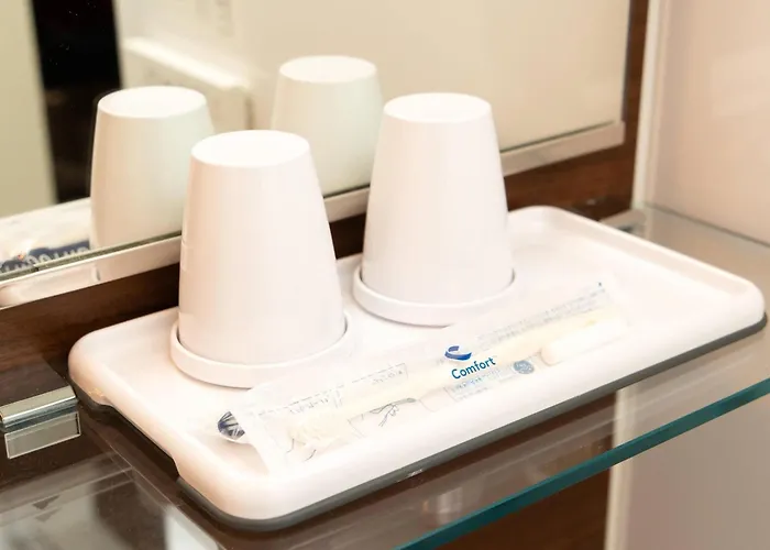 Comfort Inn Tokyo Roppongi (Adults Only)